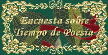 Encuesta sobre Tiempo de Poesía